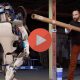 https://blog.eoprod.com/wp-content/uploads/2016/03/play-blog-robots-de-google.jpg