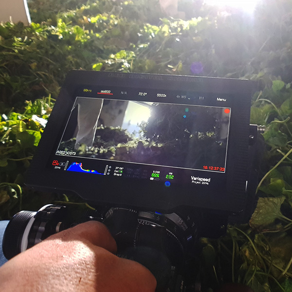 Tournage du film d'entreprise Mane Group : moniteur caméra pointé sur des plantes en extérieur