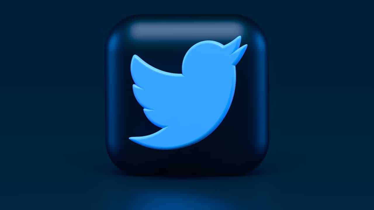 logo Twitter, le réseau social de l'instantané où ça tweet non stop