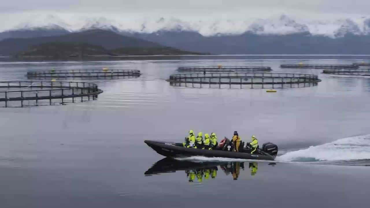 Vidéo marque employeur : équipe en combinaison naviguant près de cages d'aquaculture en fjord