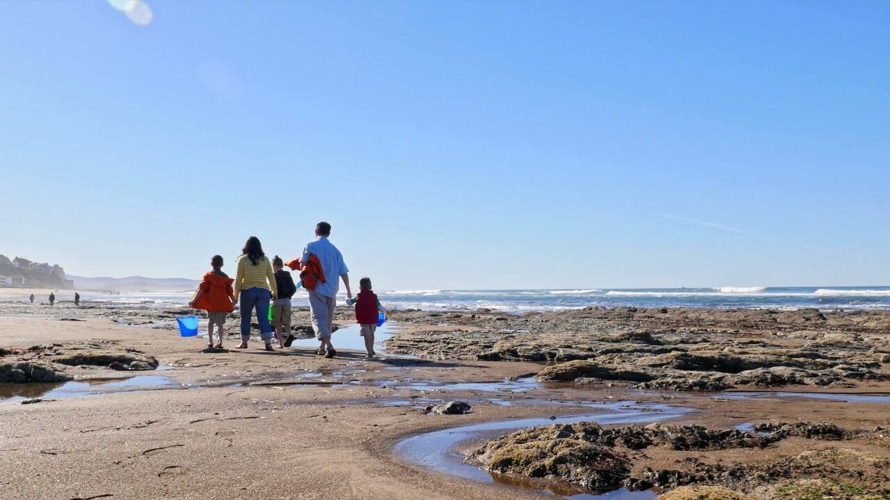 Famille marchant sur une plage rocheuse, film de marque pour les AFC et leurs Chantiers Éducation