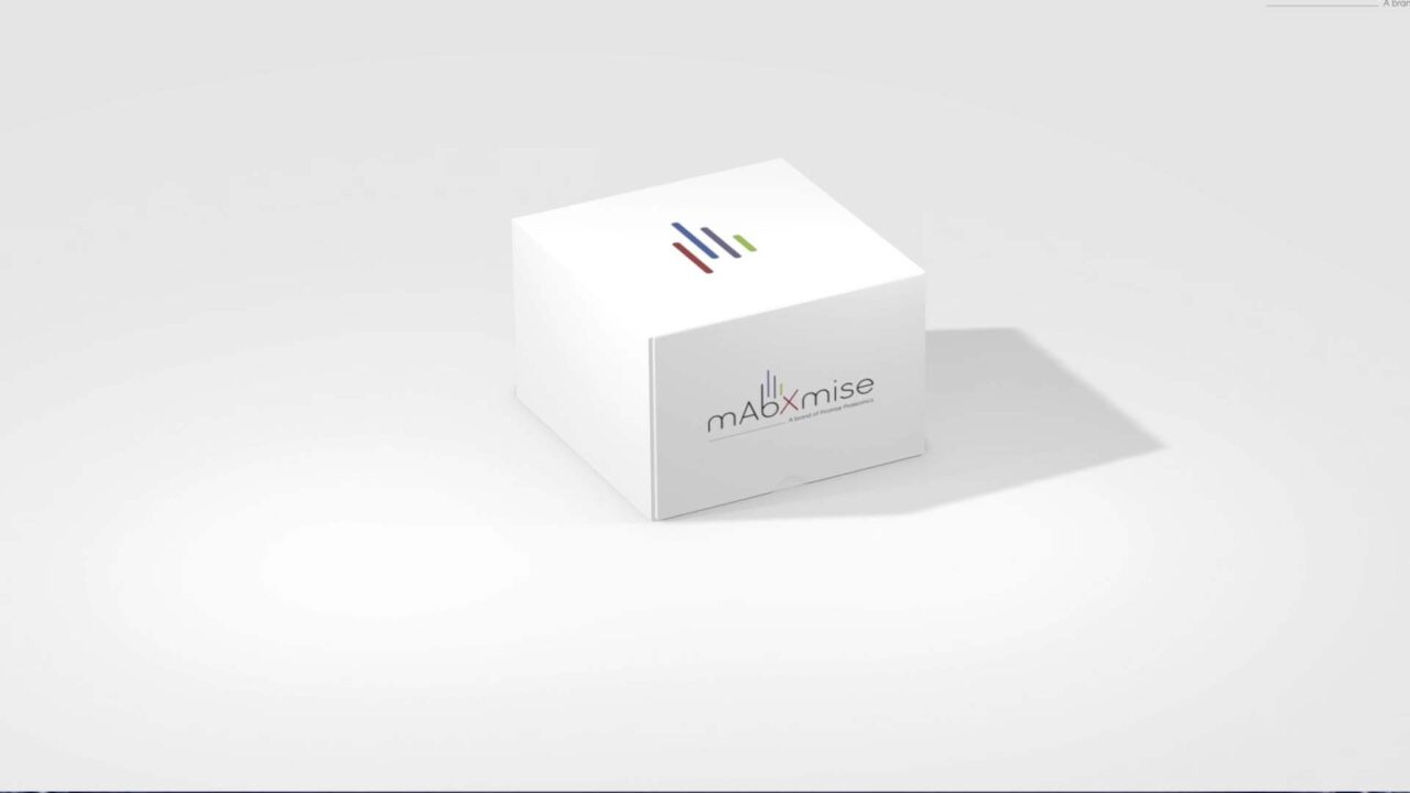 Boîte mAbXmise en 3D sur fond épuré, kit diagnostic biomédicament, film de présentation