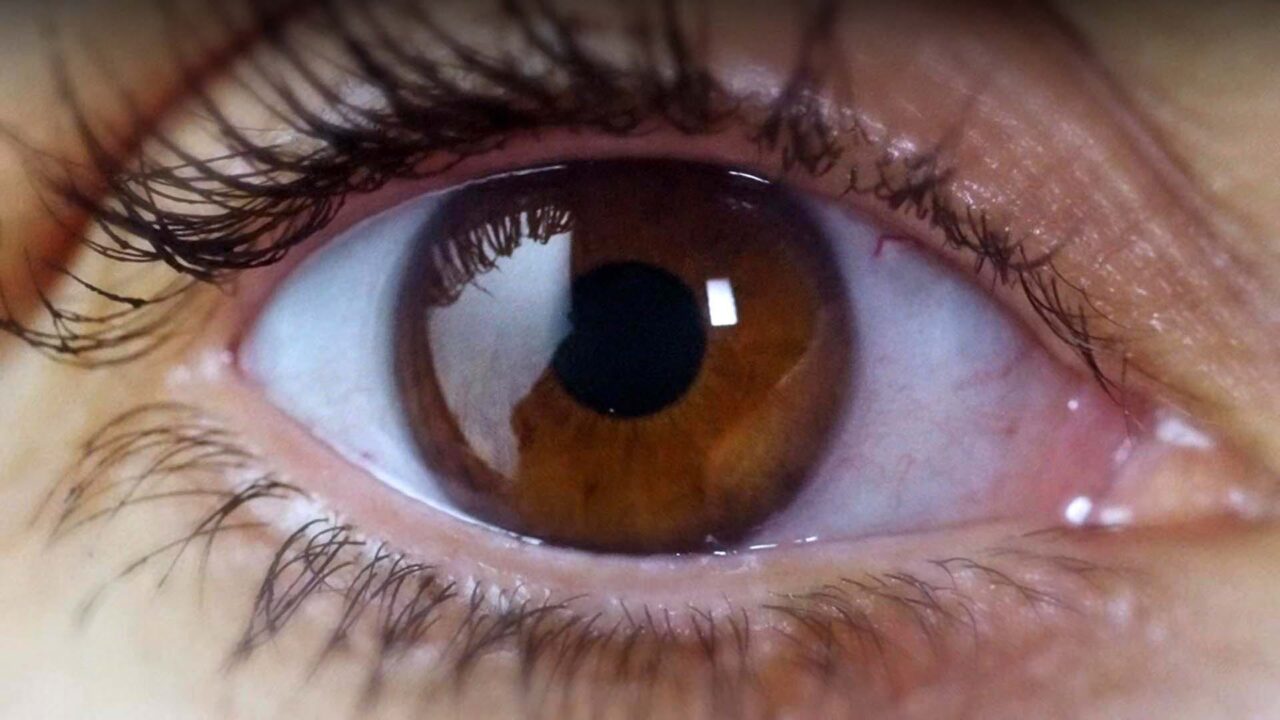 Œil marron en gros plan, regard intense pour le spot TV Bollé Safety, fabricant de lunettes de protection