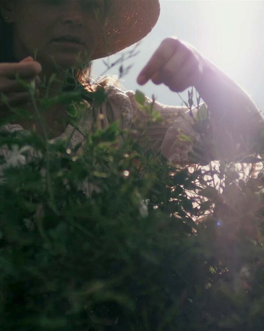 Femme cueillant des fleurs en contre-jour, vidéo institutionnelle Mane Group, industrie des fragrances